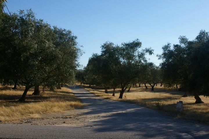 Quinta Laranjal Da Arrabida Bed & Breakfast ปัลเมลา ภายนอก รูปภาพ