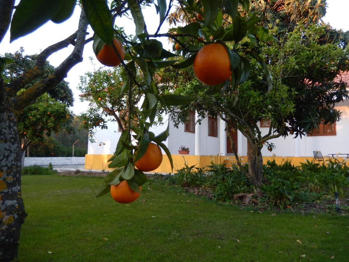 Quinta Laranjal Da Arrabida Bed & Breakfast ปัลเมลา ภายนอก รูปภาพ