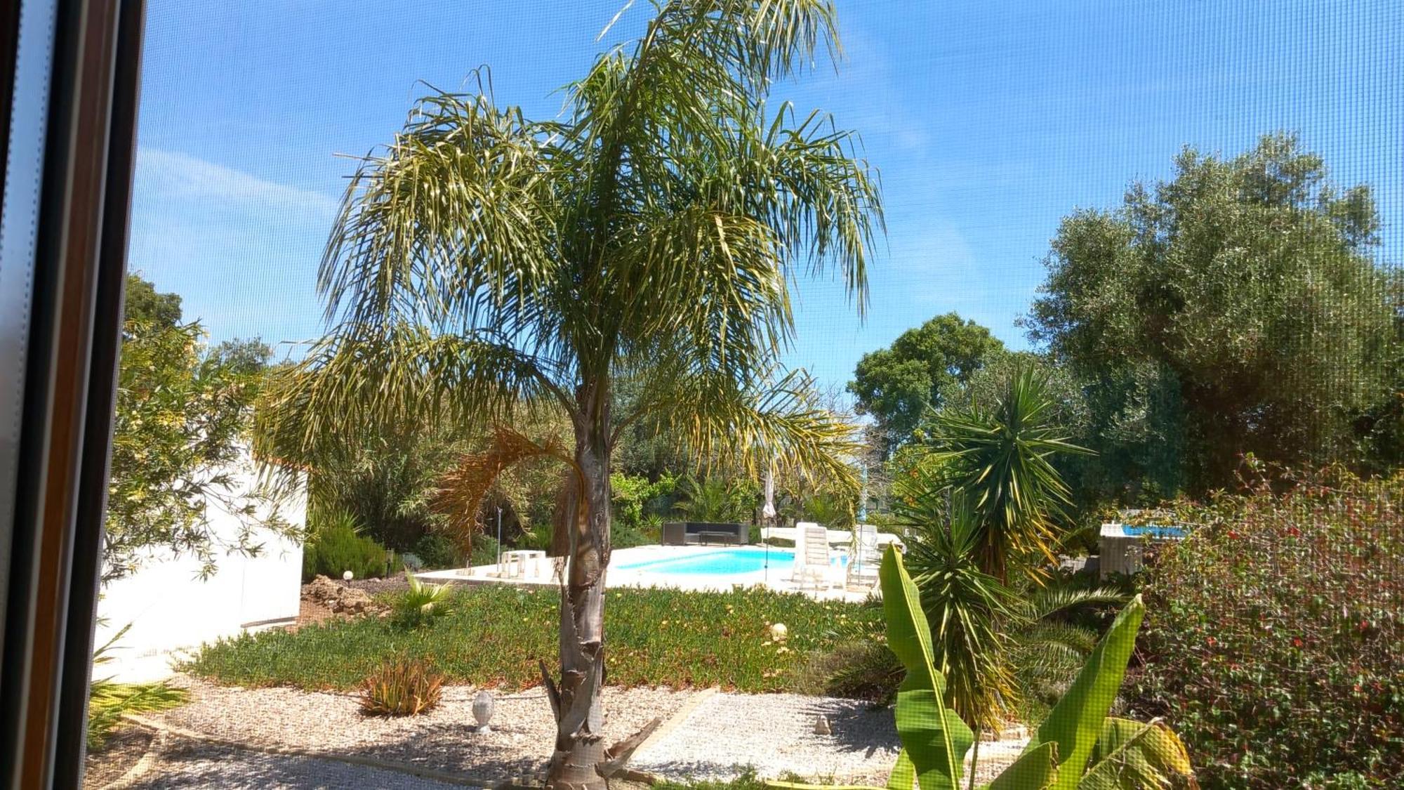 Quinta Laranjal Da Arrabida Bed & Breakfast ปัลเมลา ภายนอก รูปภาพ
